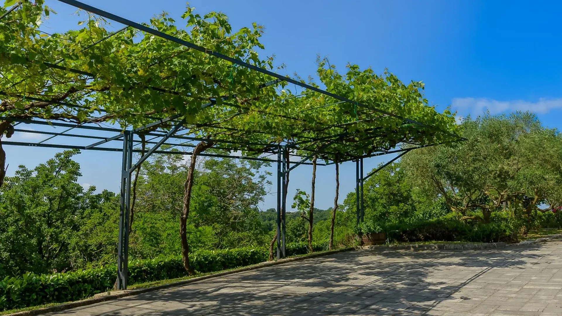 House Stella Brigita By Istrialux Villa Brajkovici  Hırvatistan